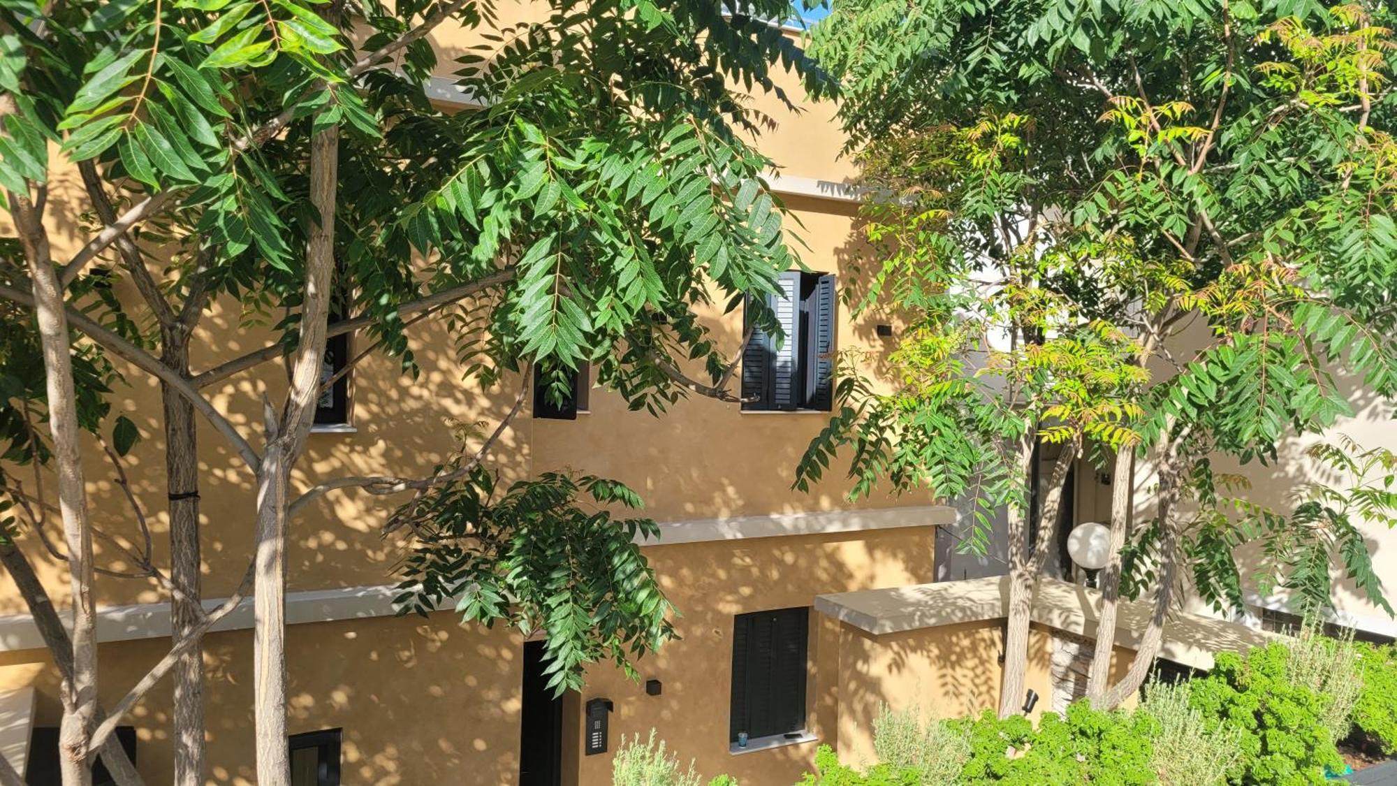 Apartment Frida Kahlo - Le Petit Bati